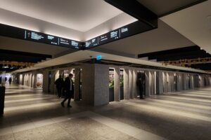 Explore the Underground City with a local comedian - Central Station (1918) and the Surprise Value of the Big View