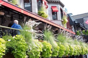 Haunted Montreal Pub Crawl - Price and value: what $26.29 really buys you