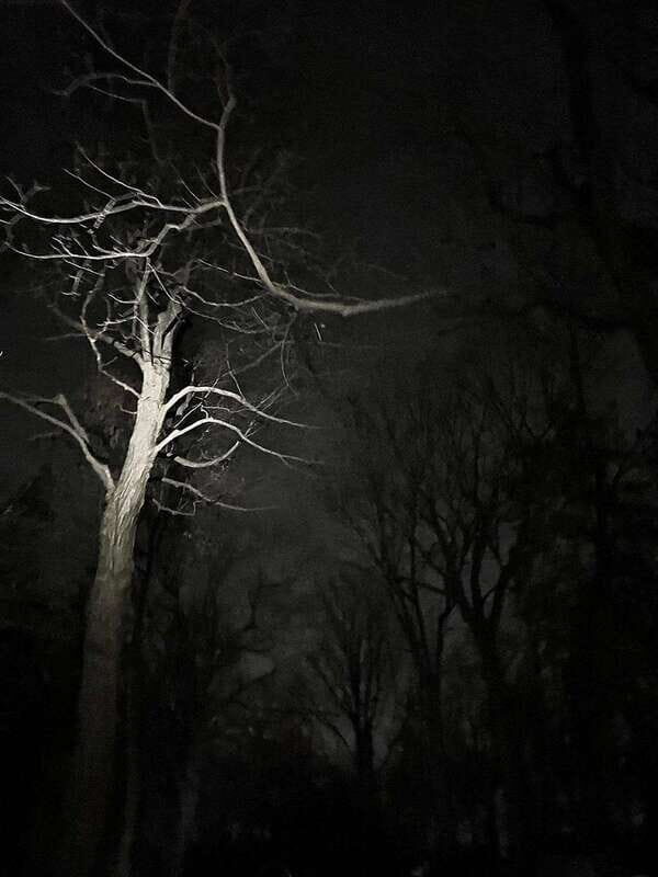 Haunted Mountain Ghost Walking Tour - Mount Royal by lantern-light: where the tour starts and how it moves