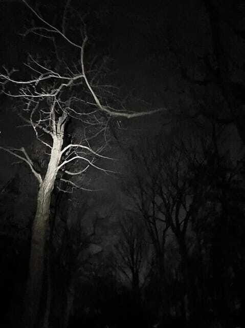 Haunted Mountain Ghost Walking Tour - Simon McTavish’s forgotten tomb: the story you’ll remember on the way down