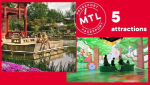 Montreal: 5 Attractions Pass - Pricing and value: when $72 makes sense and when it doesn’t