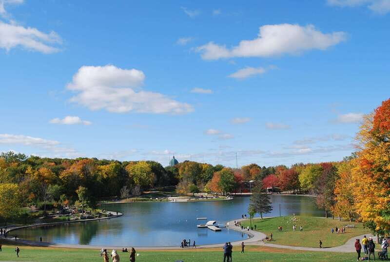 Montreal: Full-Day Small Group City Tour - Pickup and the first moves through Montreal