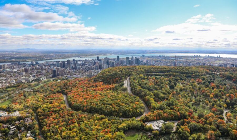 Montreal: Guided Helicopter Tour - Comfort and safety rules you should not skip