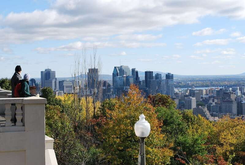 Montreal: Half-Day City Tour - Stops That Matter Most in 3 Hours (and What to Watch For)