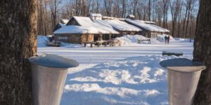 Montreal: Maple Syrup Tour with Sugar Shack & Local Cuisine - Getting from Montreal to the sugar shack: timing and day flow