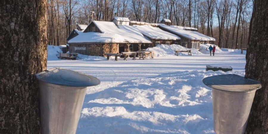 Montreal: Maple Syrup Tour with Sugar Shack & Local Cuisine - Getting from Montreal to the sugar shack: timing and day flow