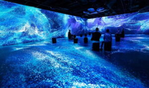 Montreal: OASIS Immersion Entry Ticket - How the show works: 3 galleries, one continuous flow