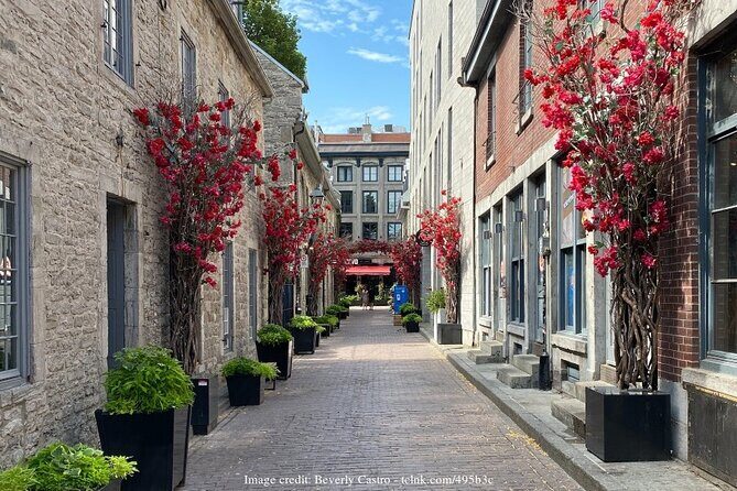 Old Montreal: Private History Walking Tour with Tastings - Banque de Montreal Start: Tastings at Street Level