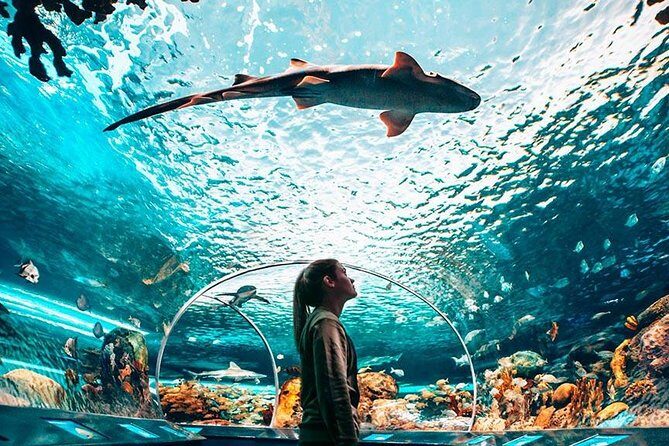 Toronto, Niagara Falls & Thousand Islands 3–DAY Trip - What makes the tour feel good in real life: guide energy and tight planning